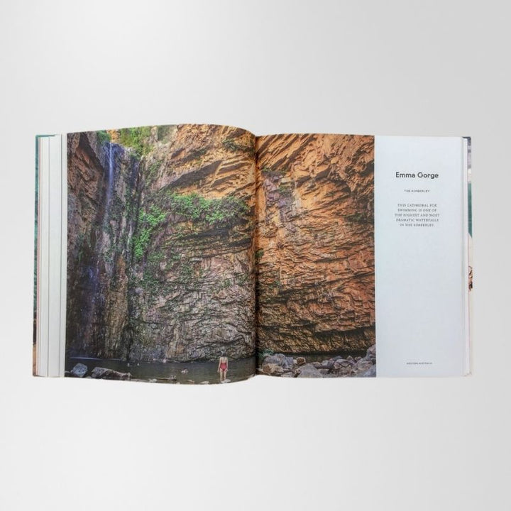 Book: Places We Swim By Dillon Seitchik-Reardon