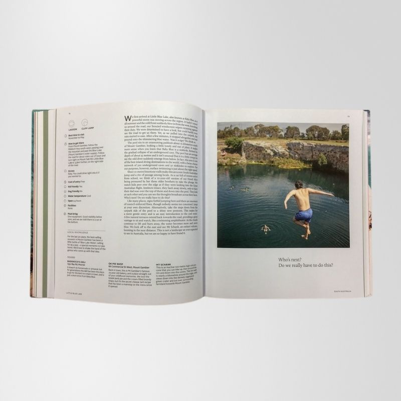 Book: Places We Swim By Dillon Seitchik-Reardon