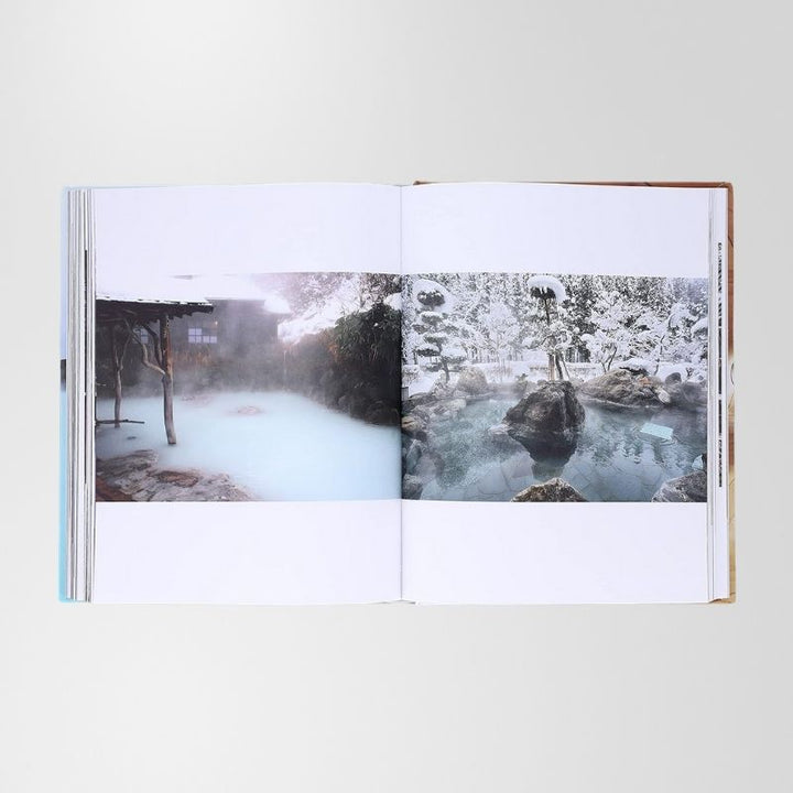 Book: Thermal By Lindsey Bro