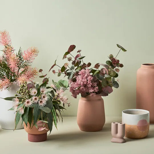 Eucalyptus Flowering 53 cm