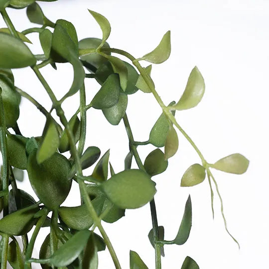 Fern Button Hanging Bush 94 cm