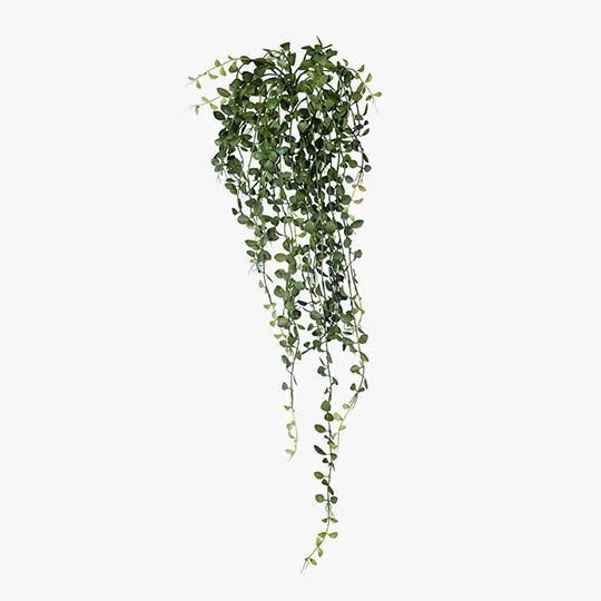 Fern Button Hanging Bush 94 cm