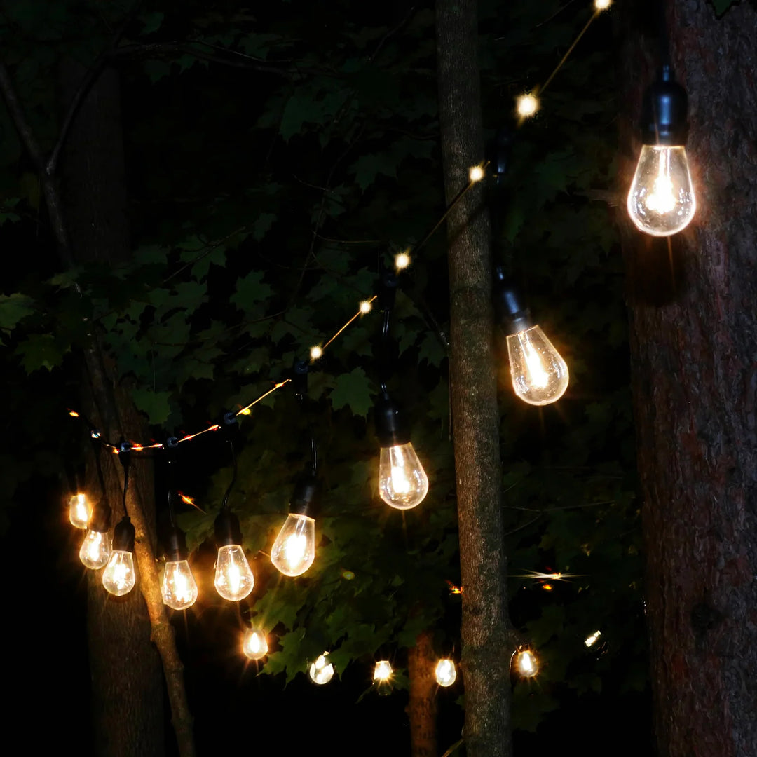 Outdoor Festoon Lights 10m