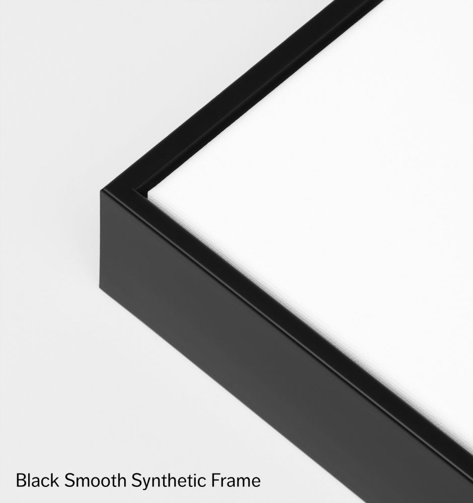 Banksia Foliage Orange 2 Canvas Print