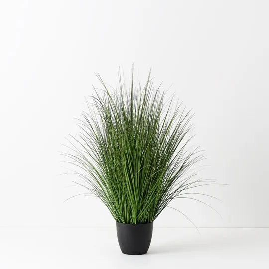 Grass Plant 120 cm