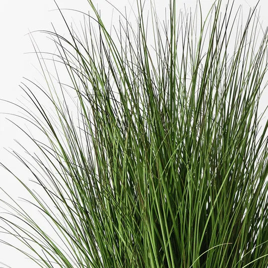 Grass Plant 120 cm