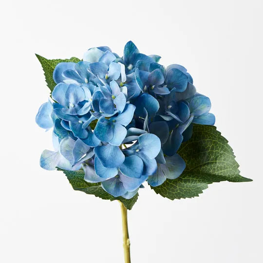Hydrangea 63 cm
