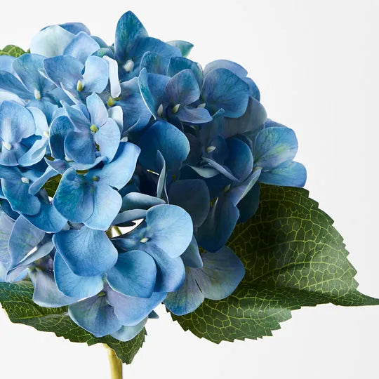 Hydrangea 63 cm