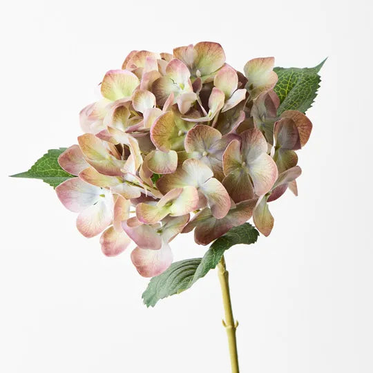 Hydrangea 63 cm