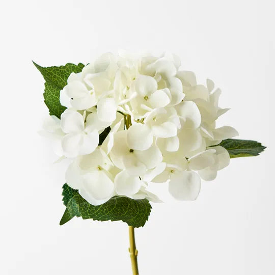 Hydrangea 63 cm