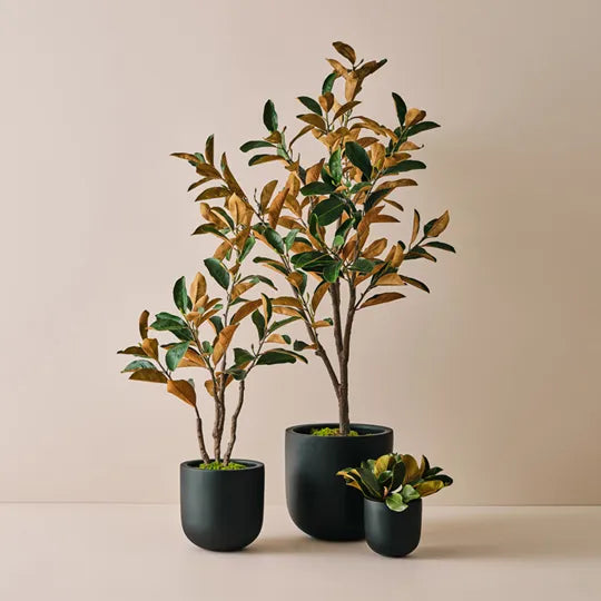 Magnolia Foliage 35 cm