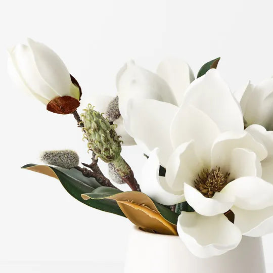 Magnolia Japanese Mix in Pot 23 cm