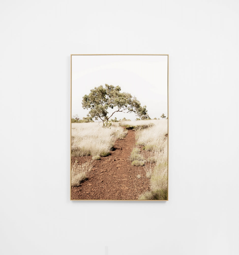 Outback Trek Canvas Print