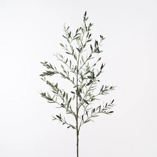 Olive Leaf Branch 180 cm