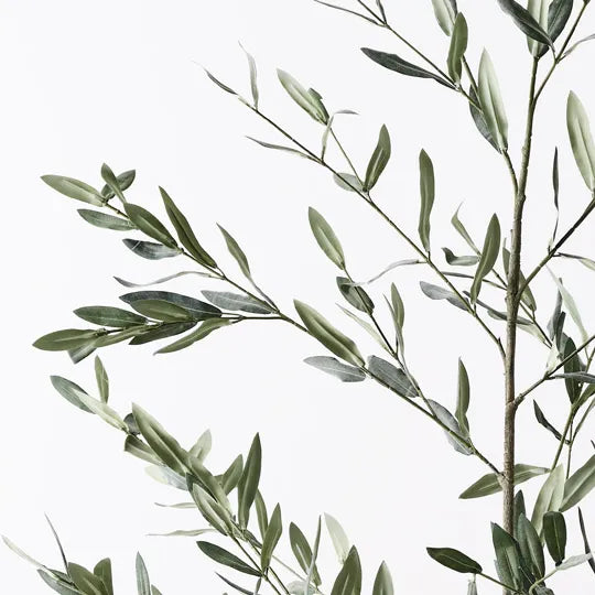 Olive Leaf Branch 180 cm