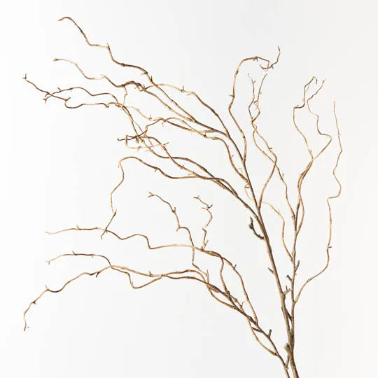 Twig Curly Willow Spray 144 cm