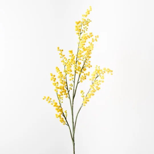 Wattle Spray 99 cm