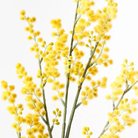 Wattle Spray 99 cm