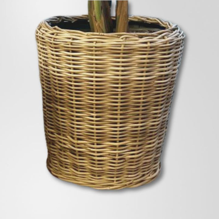 Kubu Wicker Watersafe Pot