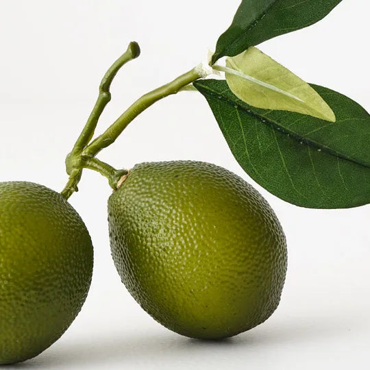 Fruit Lime Cluster w/leaf 15 cm