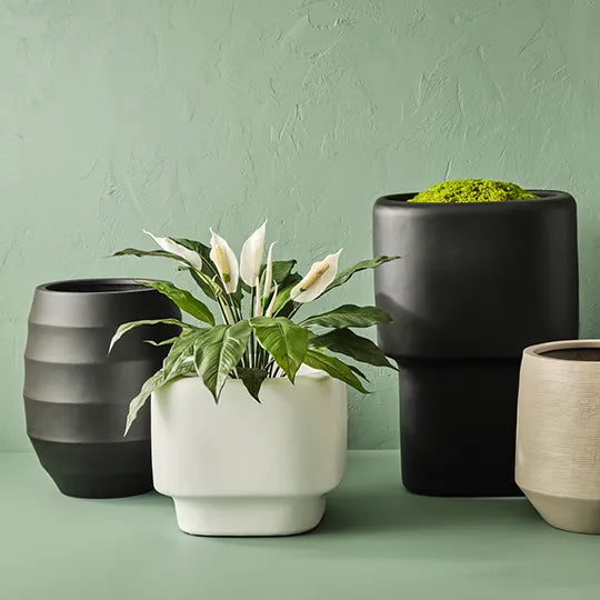 Outdoor Pots