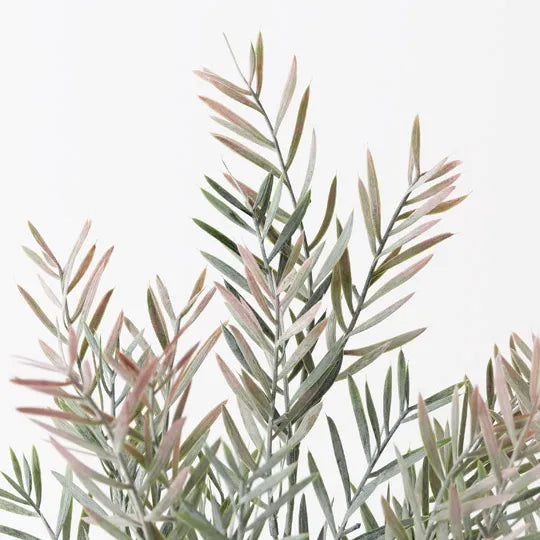Acacia Leaf Bush 43 cm