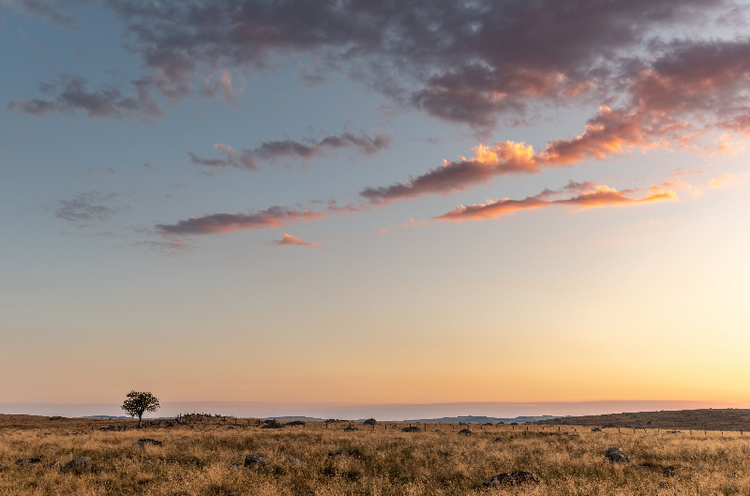 Sunset Home Living - Born in Australia...Inspired by the world