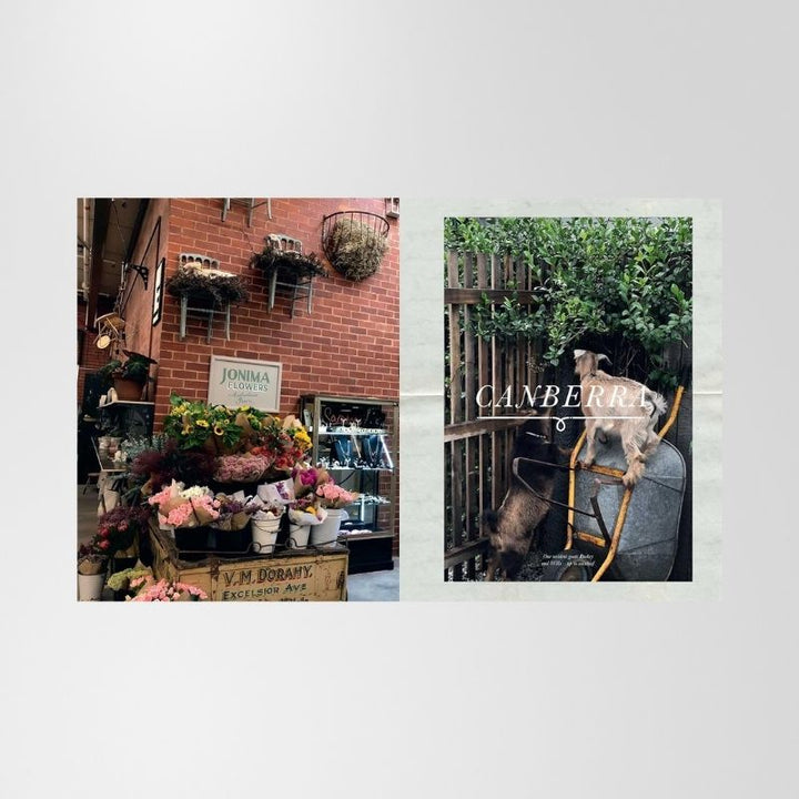 Book: Dirty Janes Vintage Style By Jane Crowley