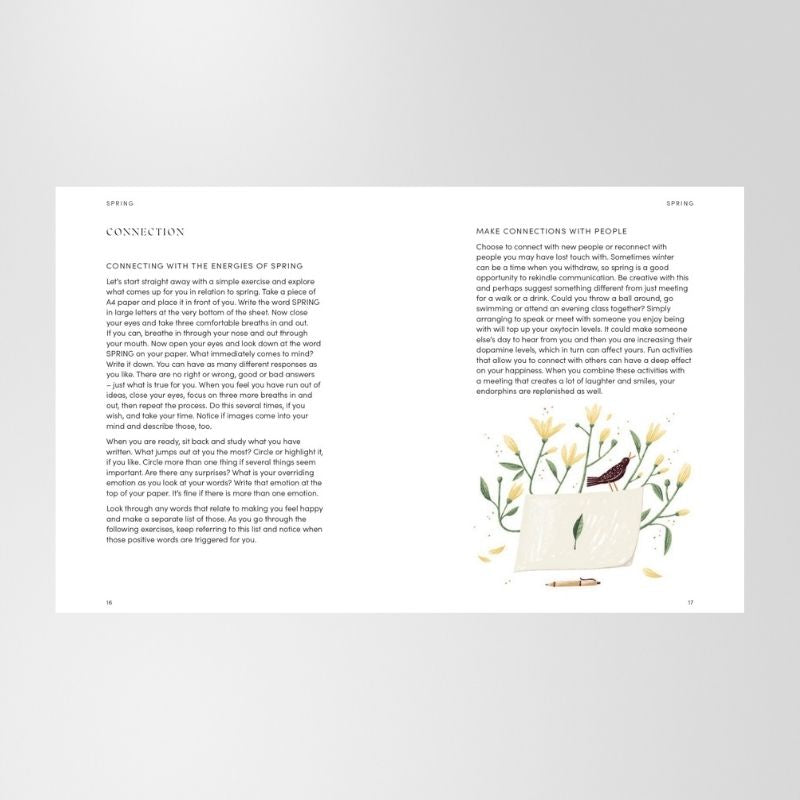 Book: The Happiness Year By Tara Ward