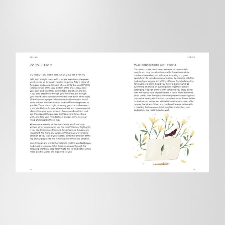 Book: The Happiness Year By Tara Ward
