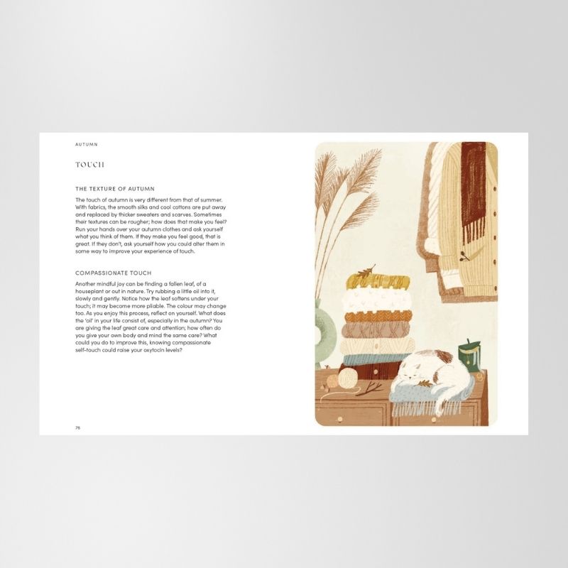 Book: The Happiness Year By Tara Ward