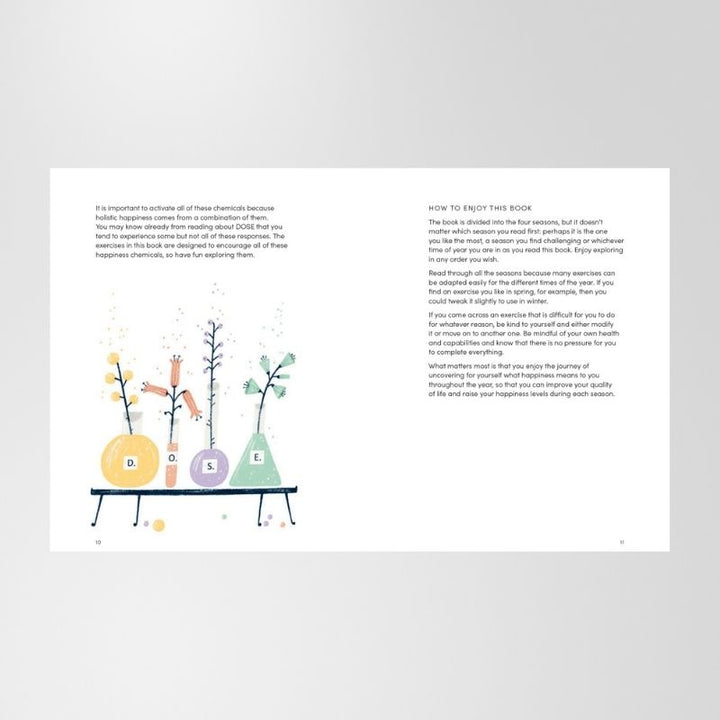 Book: The Happiness Year By Tara Ward