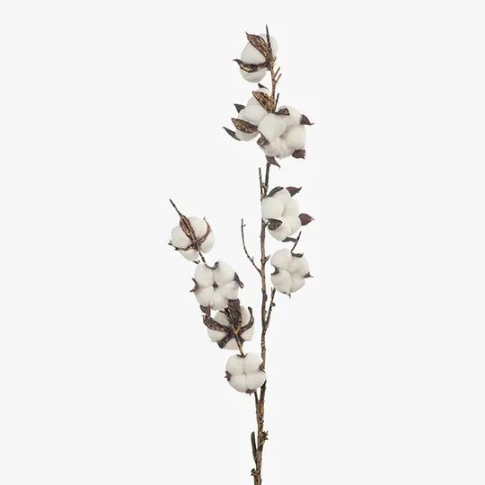 Cotton Spray 71 cm