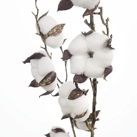 Cotton Spray 71 cm