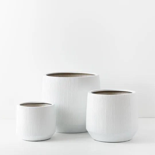 Dune Kalo Pot