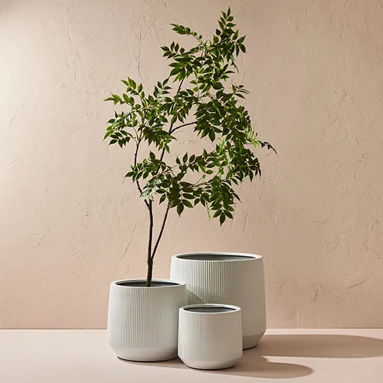Dune Kalo Pot