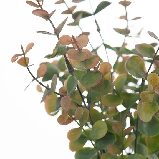 Eucalyptus Bush 32 cm