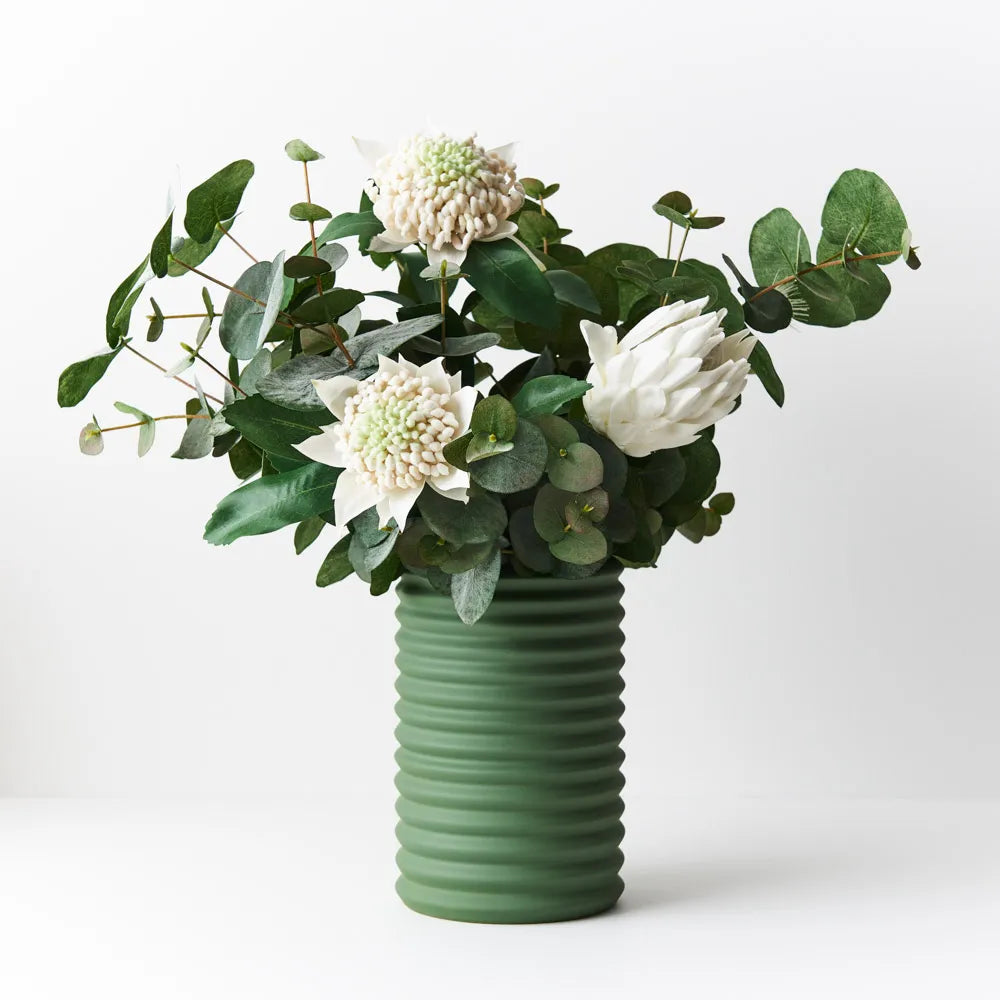 Eucalyptus Silver Dollar Bush 55 cm