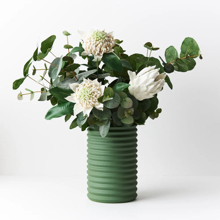 Eucalyptus Silver Dollar Bush 55 cm
