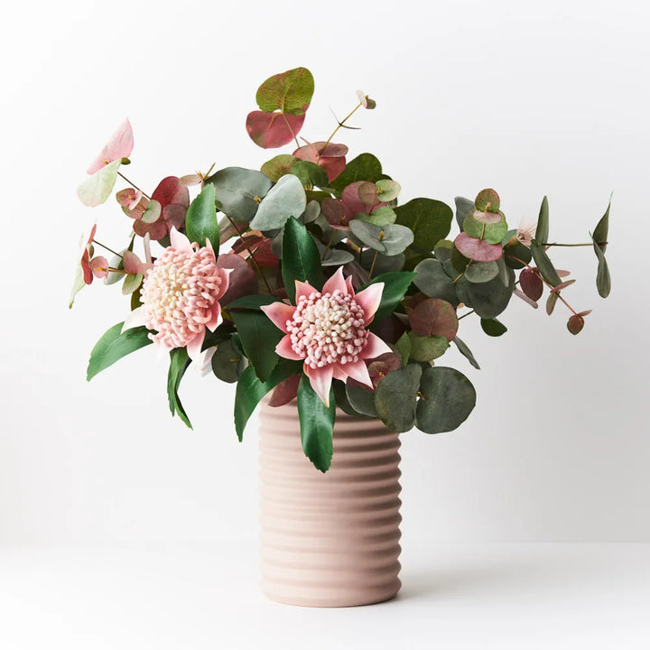 Eucalyptus Silver Dollar Bush 55 cm