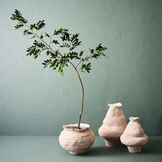 Lexi Pot