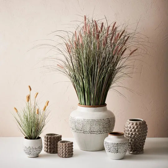 Foxtail Grass Plant 116 cm