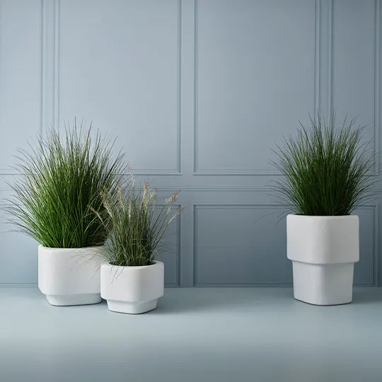 Grass Plant 120 cm
