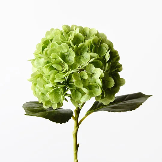 Hydrangea 49 cm