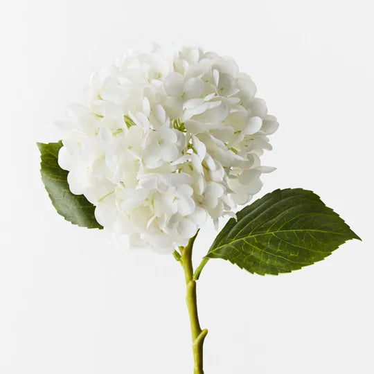 Hydrangea 49 cm