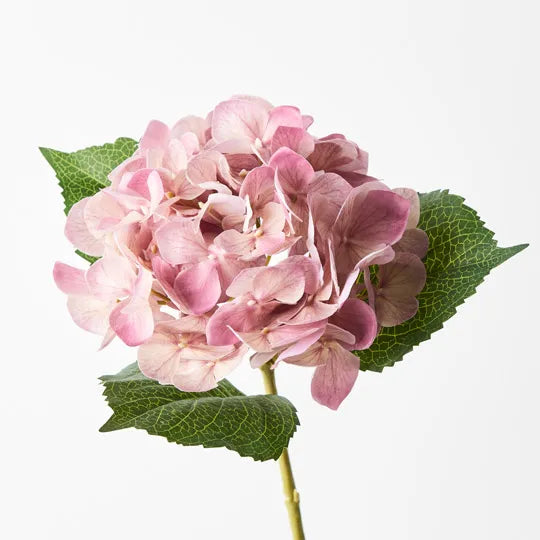 Hydrangea 63 cm