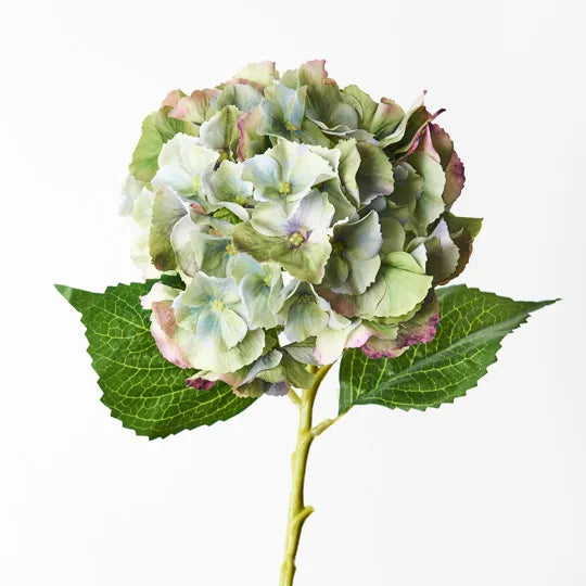 Hydrangea 52 cm