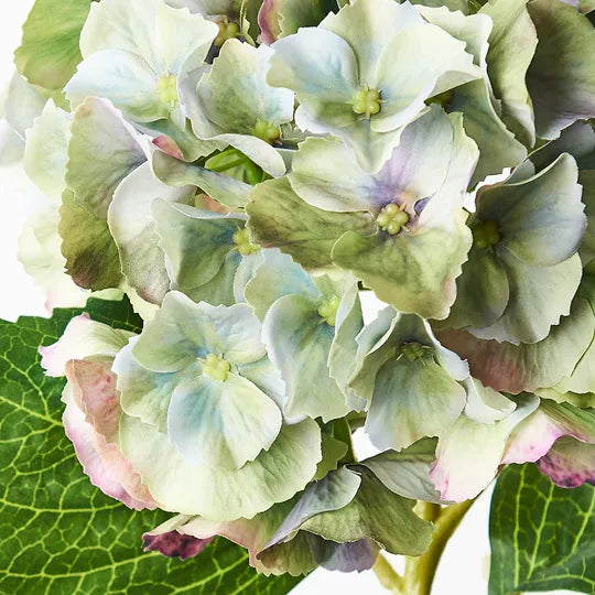Hydrangea 52 cm