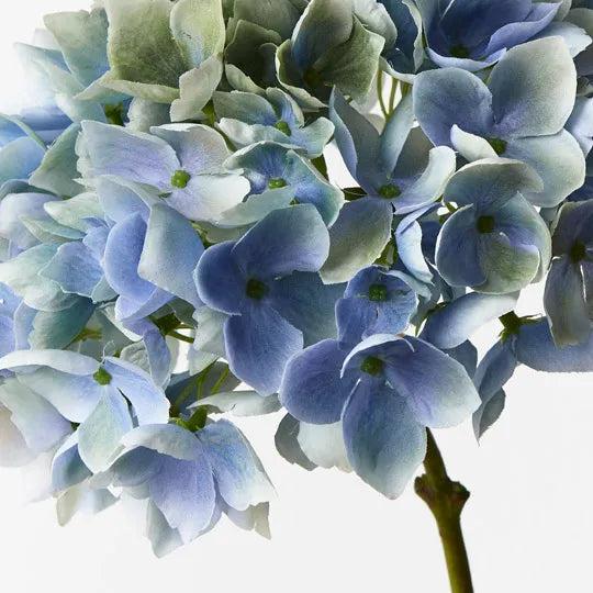 Hydrangea 47 cm