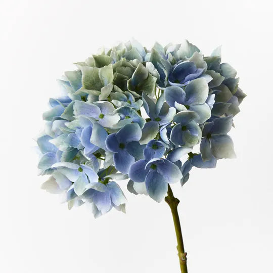 Hydrangea 47 cm